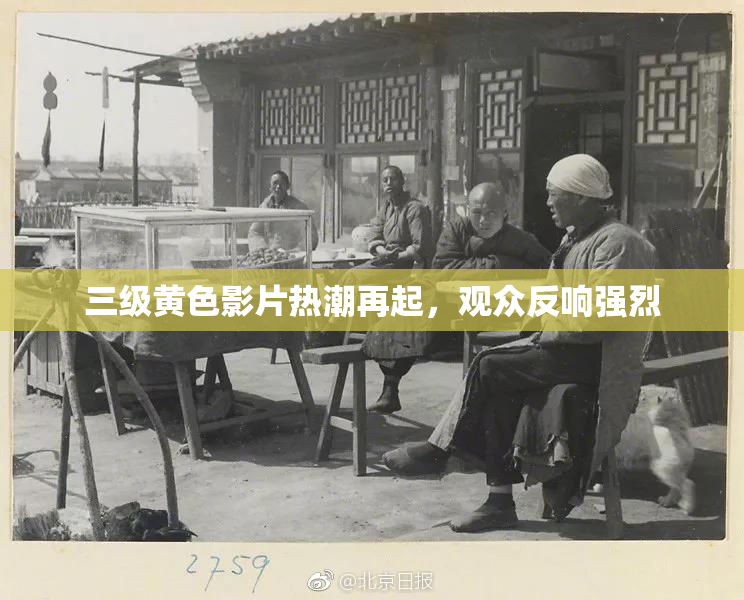三级黄色影片热潮再起，观众反响强烈