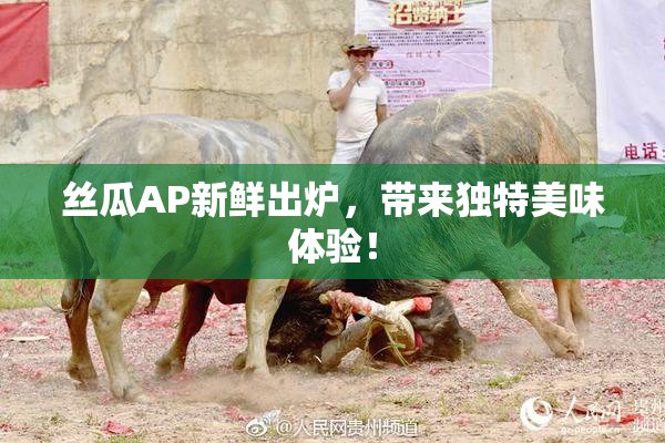 丝瓜AP新鲜出炉，带来独特美味体验！