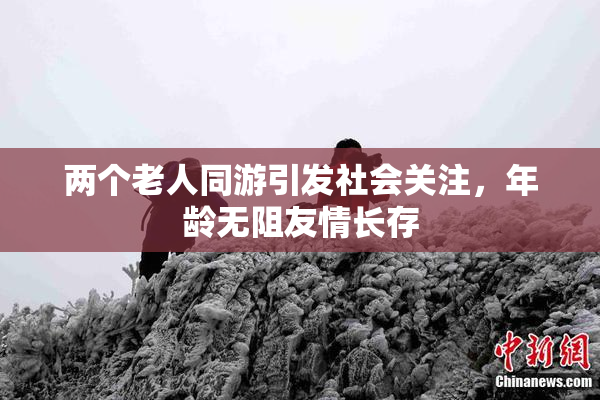 两个老人同游引发社会关注，年龄无阻友情长存