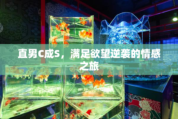 直男C成S，满足欲望逆袭的情感之旅