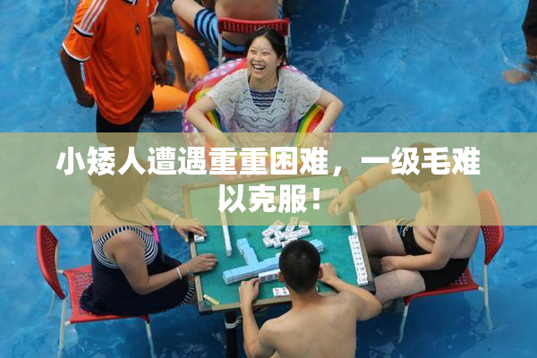小矮人遭遇重重困难，一级毛难以克服！