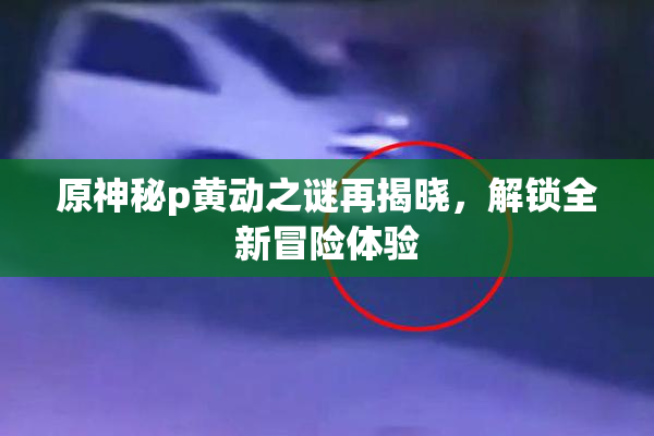 原神秘p黄动之谜再揭晓，解锁全新冒险体验