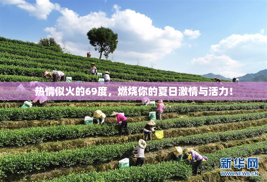 热情似火的69度，燃烧你的夏日激情与活力！