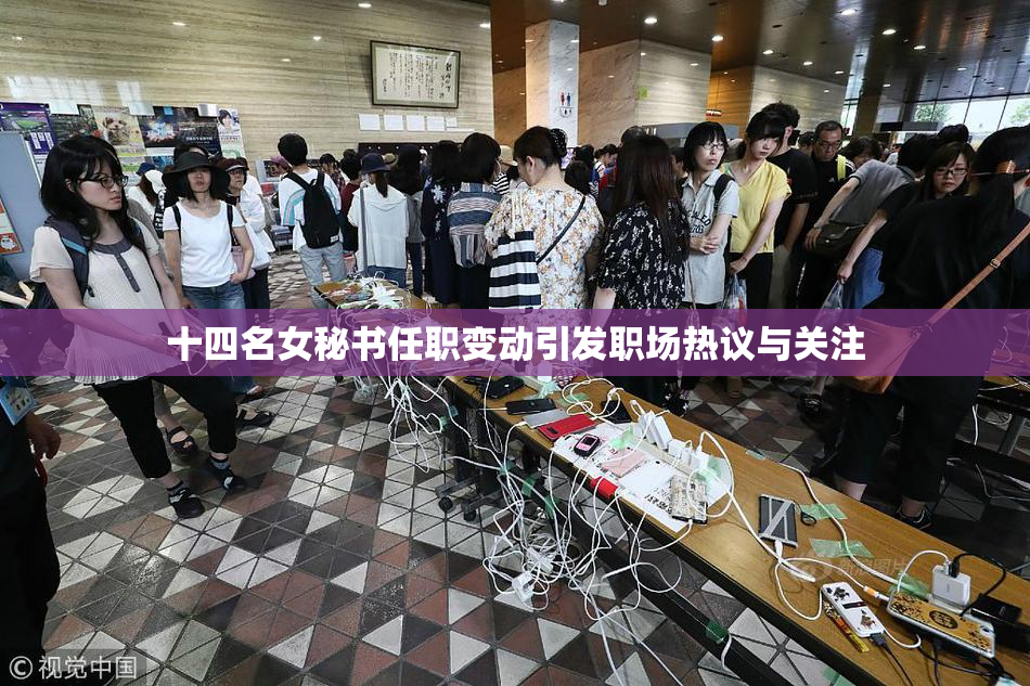 十四名女秘书任职变动引发职场热议与关注