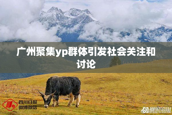 广州聚集yp群体引发社会关注和讨论