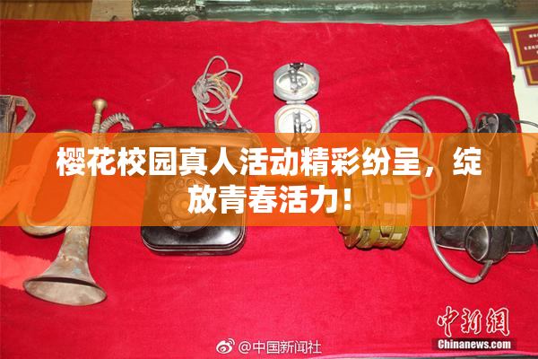樱花校园真人活动精彩纷呈，绽放青春活力！