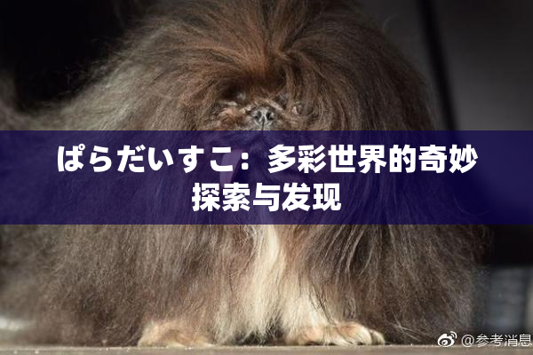 ぱらだいすこ：多彩世界的奇妙探索与发现