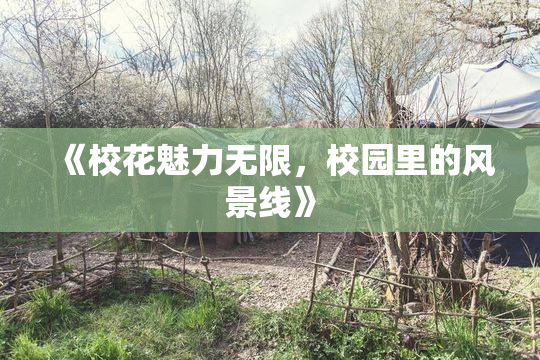 《校花魅力无限，校园里的风景线》