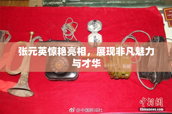 张元英惊艳亮相，展现非凡魅力与才华