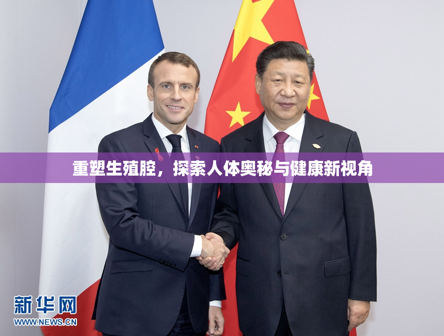重塑生殖腔，探索人体奥秘与健康新视角