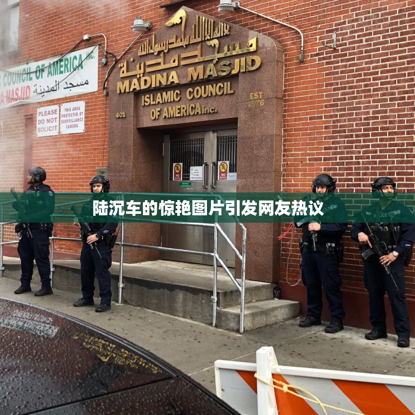 陆沉车的惊艳图片引发网友热议