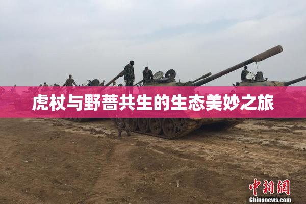 虎杖与野蔷共生的生态美妙之旅