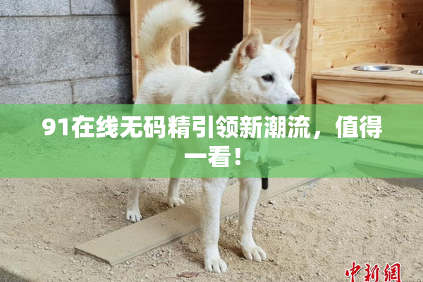 91在线无码精引领新潮流，值得一看！