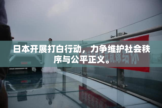 日本开展打白行动，力争维护社会秩序与公平正义。