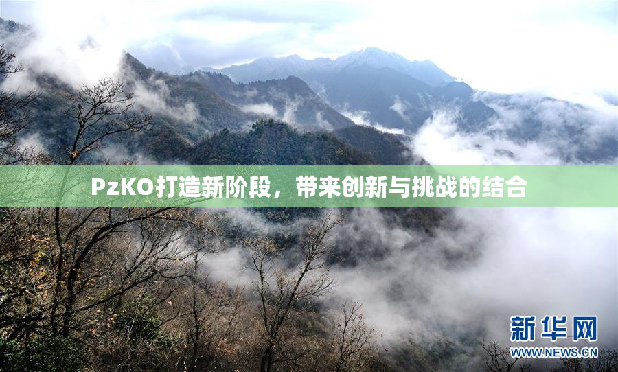 PzKO打造新阶段，带来创新与挑战的结合