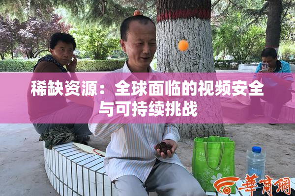 稀缺资源：全球面临的视频安全与可持续挑战