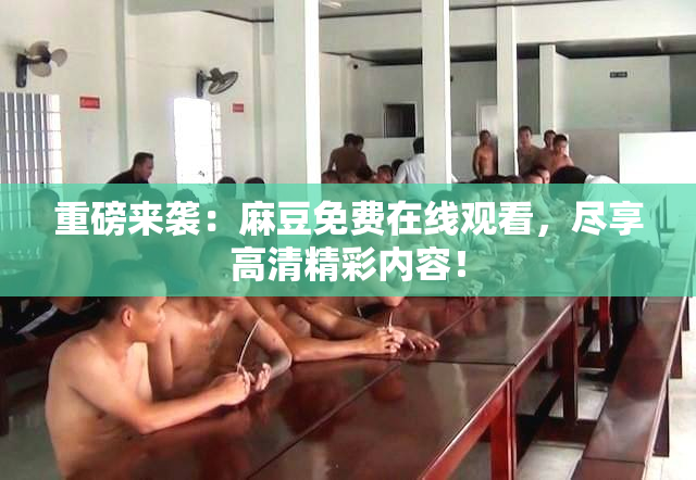 重磅来袭：麻豆免费在线观看，尽享高清精彩内容！