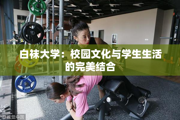 白袜大学：校园文化与学生生活的完美结合