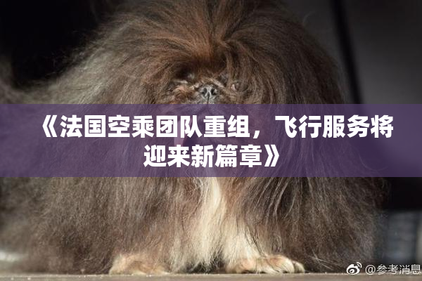 《法国空乘团队重组，飞行服务将迎来新篇章》