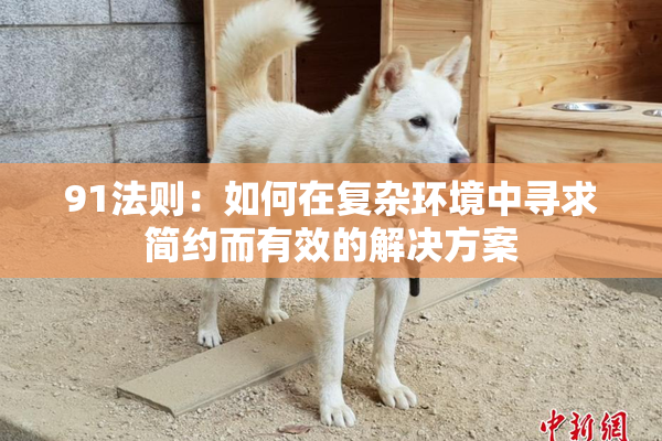 91法则：如何在复杂环境中寻求简约而有效的解决方案