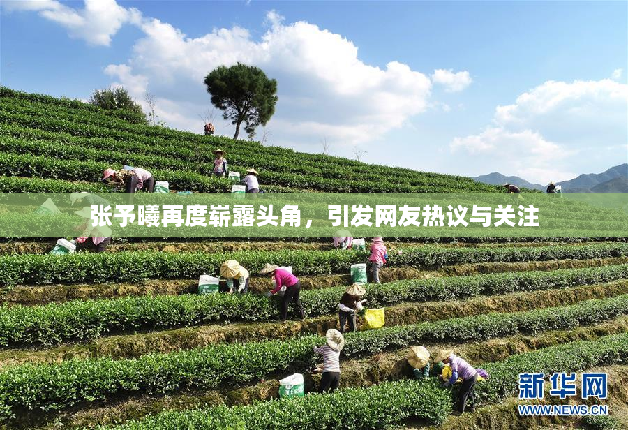 张予曦再度崭露头角，引发网友热议与关注