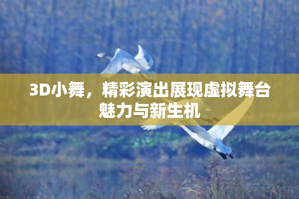 3D小舞，精彩演出展现虚拟舞台魅力与新生机