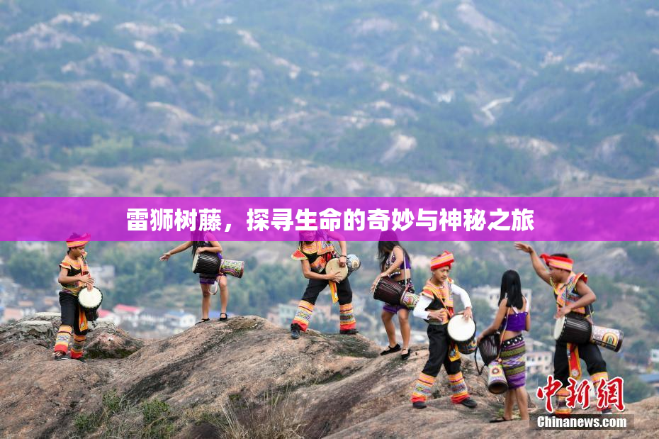 雷狮树藤，探寻生命的奇妙与神秘之旅