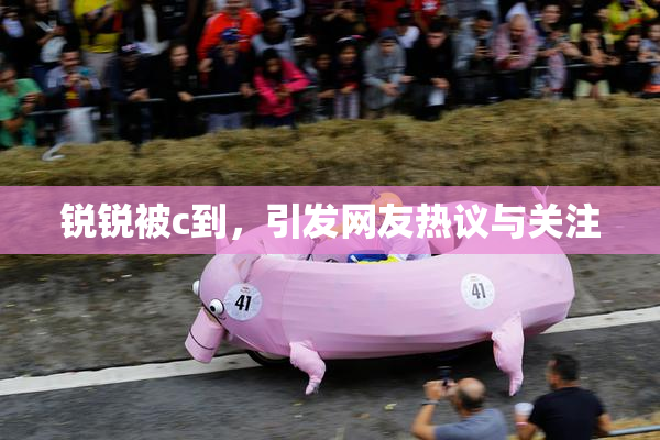锐锐被c到，引发网友热议与关注