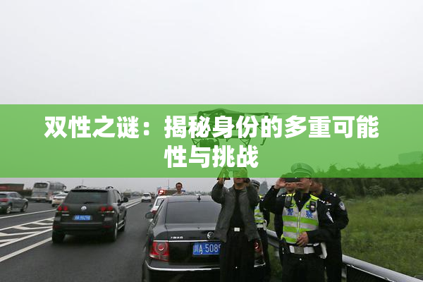 双性之谜：揭秘身份的多重可能性与挑战