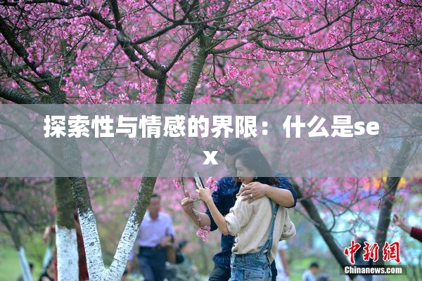 探索性与情感的界限：什么是sex