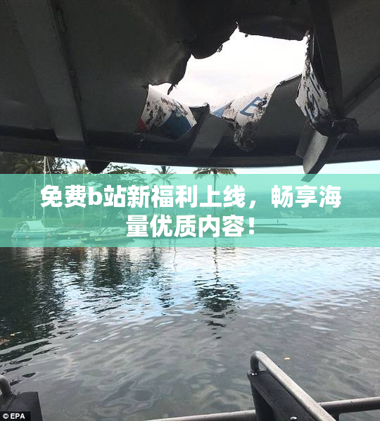 免费b站新福利上线，畅享海量优质内容！