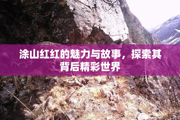 涂山红红的魅力与故事，探索其背后精彩世界