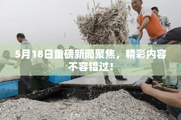 5月18日重磅新闻聚焦，精彩内容不容错过！