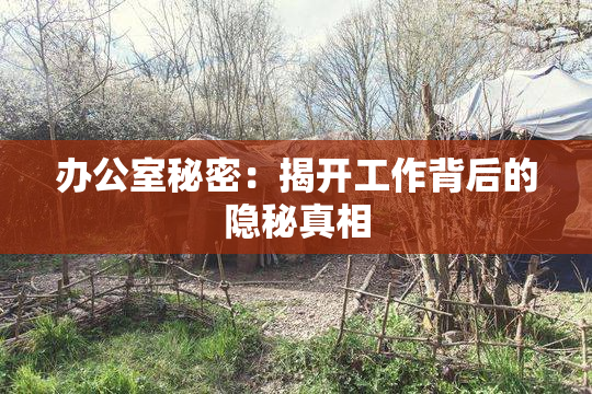 办公室秘密：揭开工作背后的隐秘真相