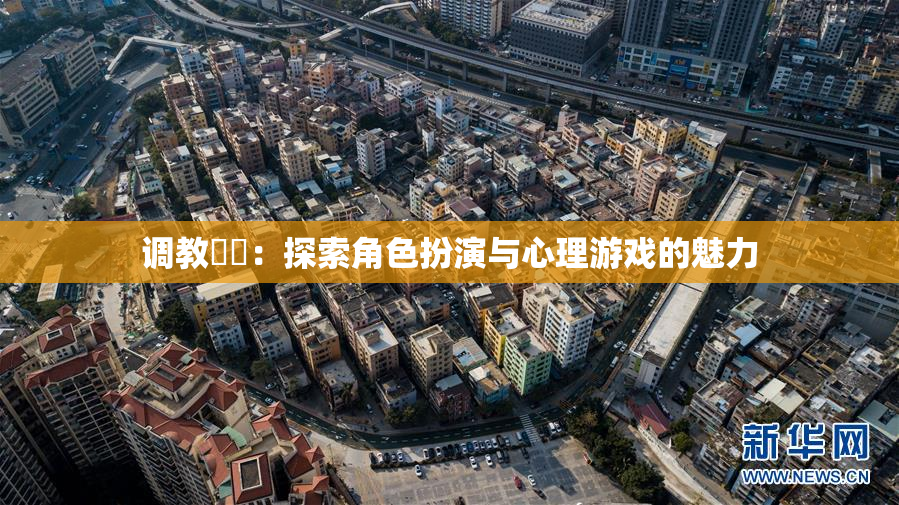 调教妺妺：探索角色扮演与心理游戏的魅力