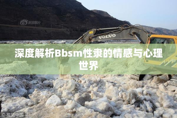深度解析Bbsm性隶的情感与心理世界