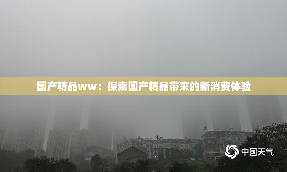 国产精品ww：探索国产精品带来的新消费体验