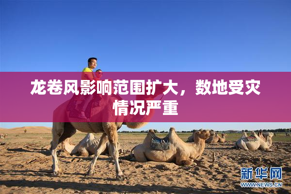 龙卷风影响范围扩大，数地受灾情况严重