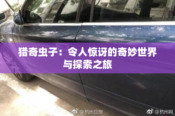猎奇虫子：令人惊讶的奇妙世界与探索之旅