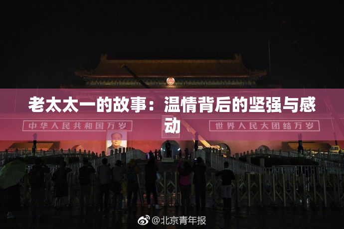 老太太一的故事：温情背后的坚强与感动