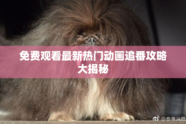 免费观看最新热门动画追番攻略大揭秘
