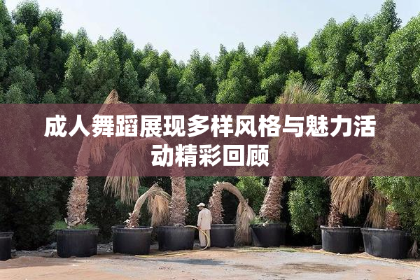 成人舞蹈展现多样风格与魅力活动精彩回顾