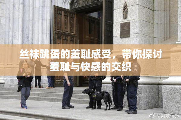 丝袜跳蛋的羞耻感受，带你探讨羞耻与快感的交织