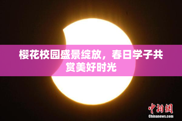 樱花校园盛景绽放，春日学子共赏美好时光