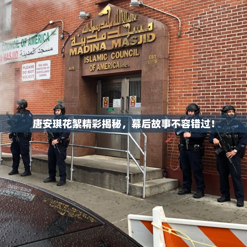 唐安琪花絮精彩揭秘，幕后故事不容错过！