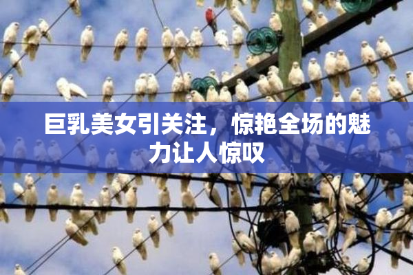 巨乳美女引关注，惊艳全场的魅力让人惊叹