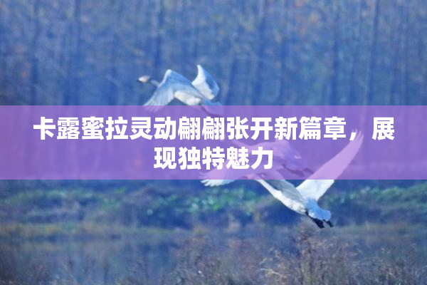卡露蜜拉灵动翩翩张开新篇章，展现独特魅力