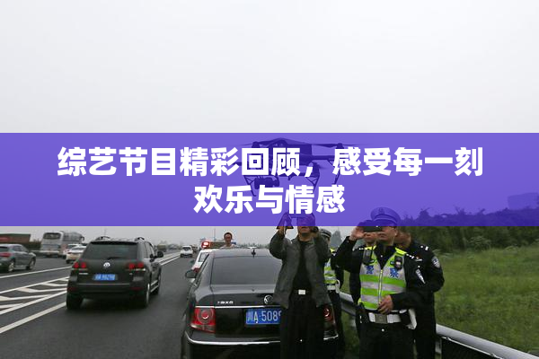 综艺节目精彩回顾，感受每一刻欢乐与情感