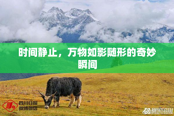 时间静止，万物如影随形的奇妙瞬间