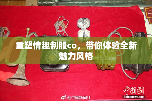 重塑情趣制服co，带你体验全新魅力风格